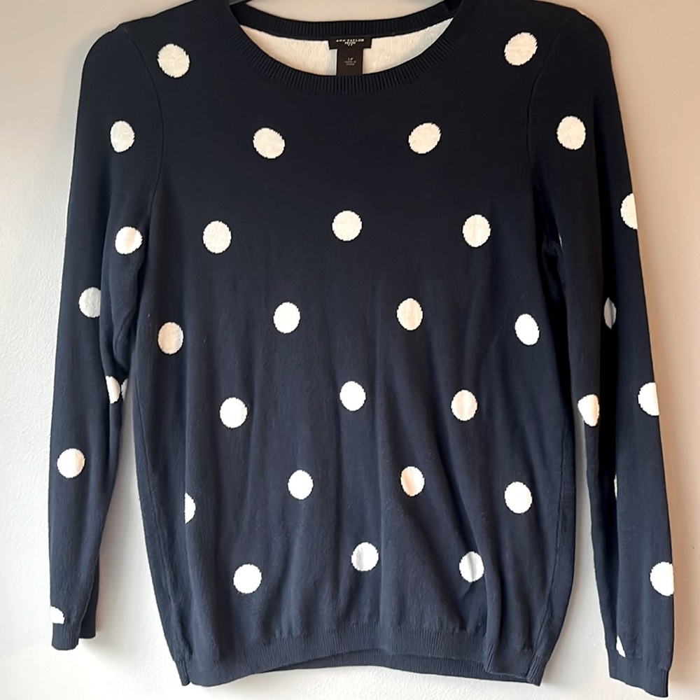 Ann Taylor sweater